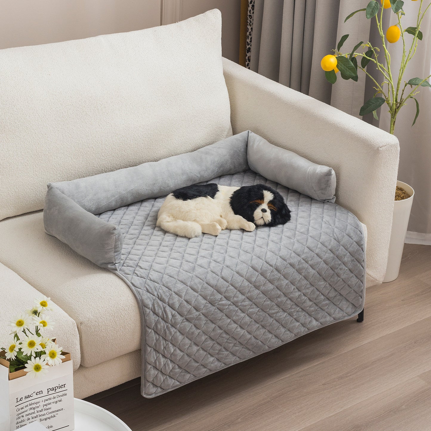 Panier pour chien