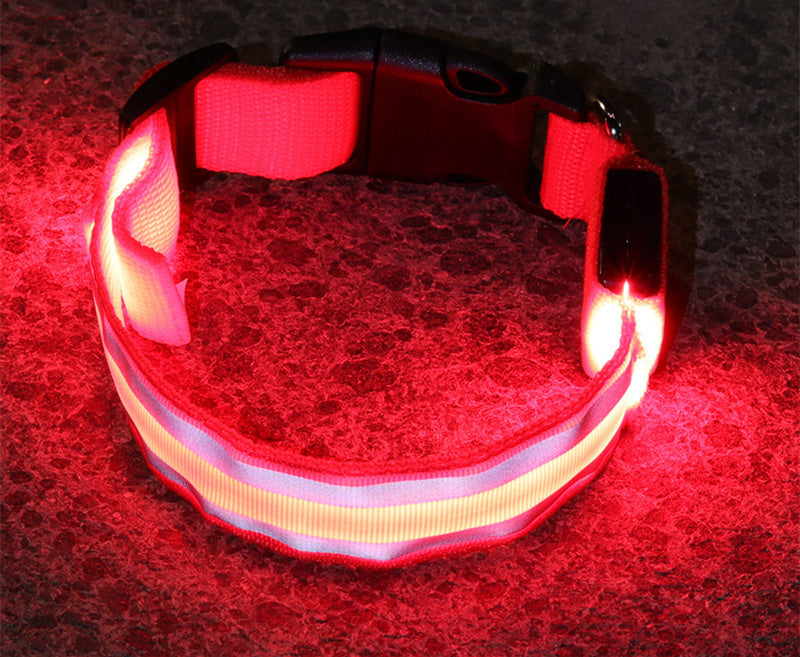 Collier pour animaux à led