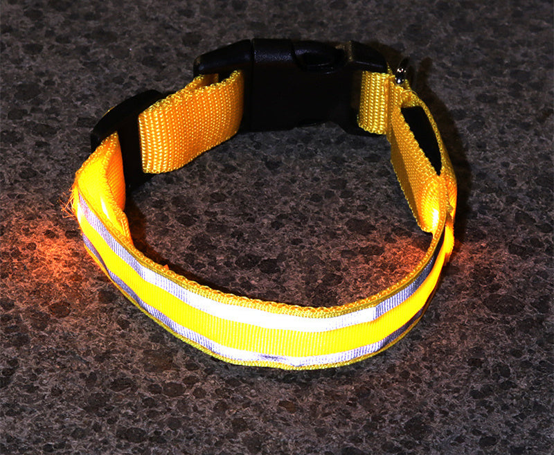 Collier pour animaux à led