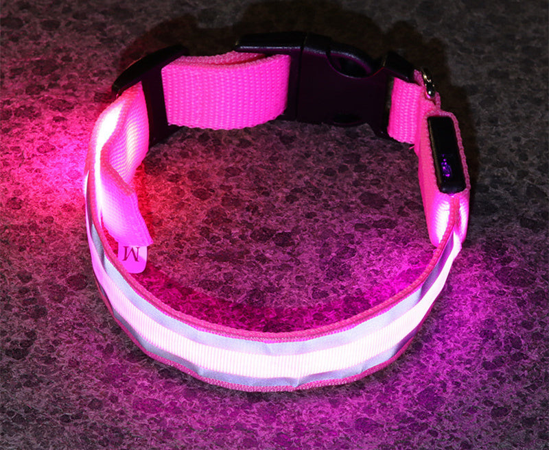 Collier pour animaux à led