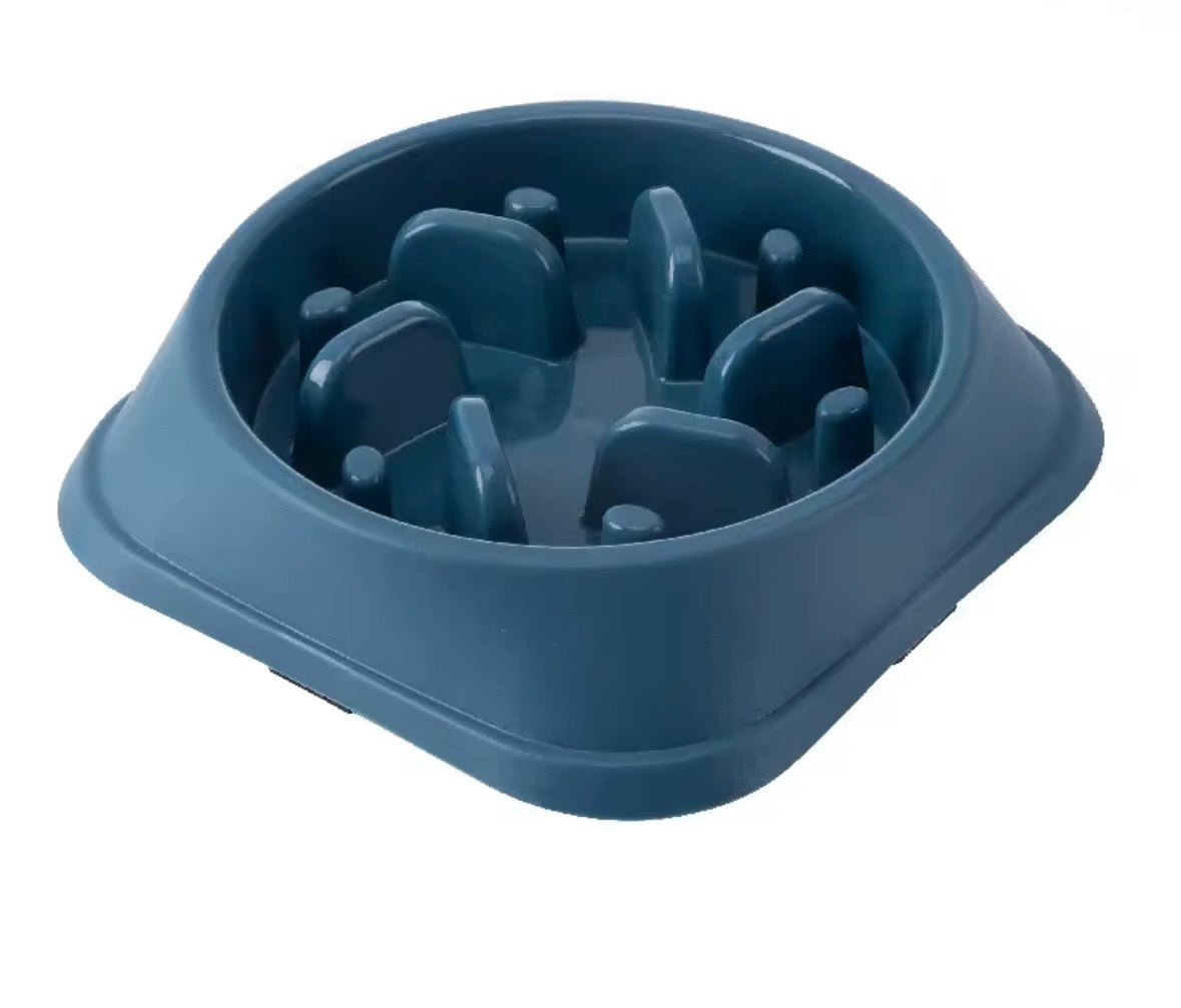 Gamelle anti glouton- Chien