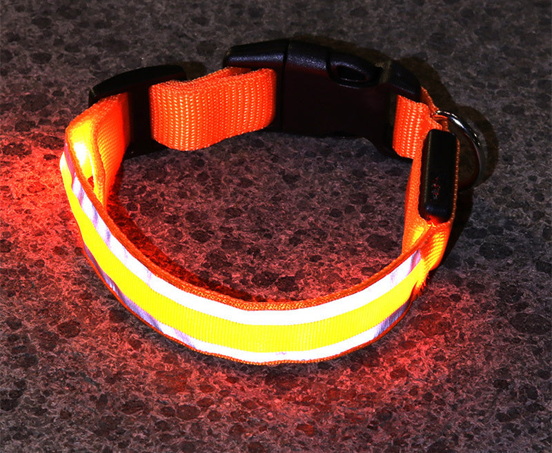 Collier pour animaux à led