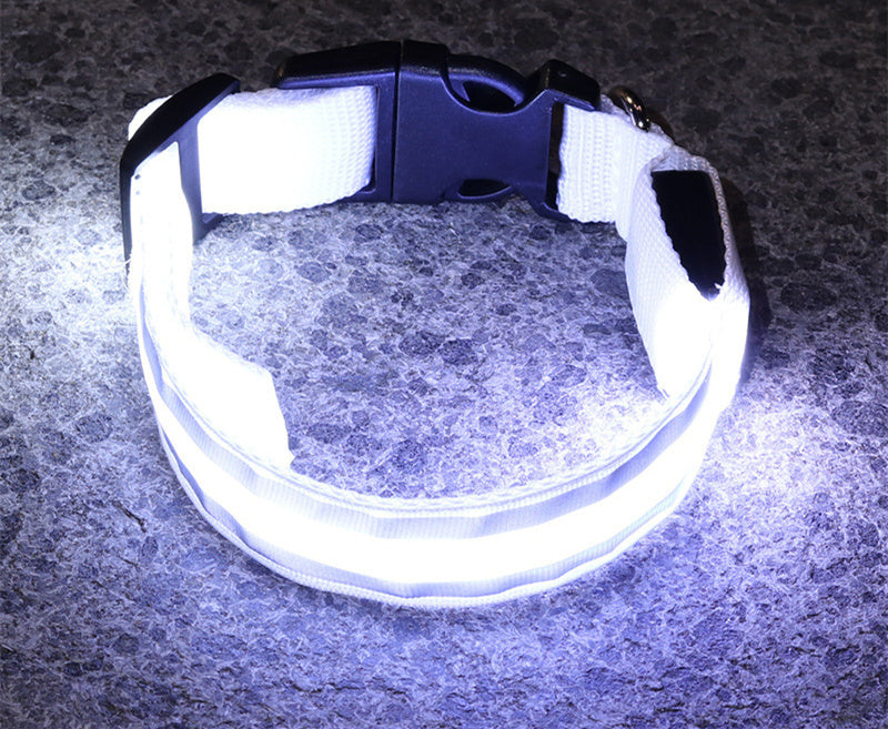 Collier pour animaux à led