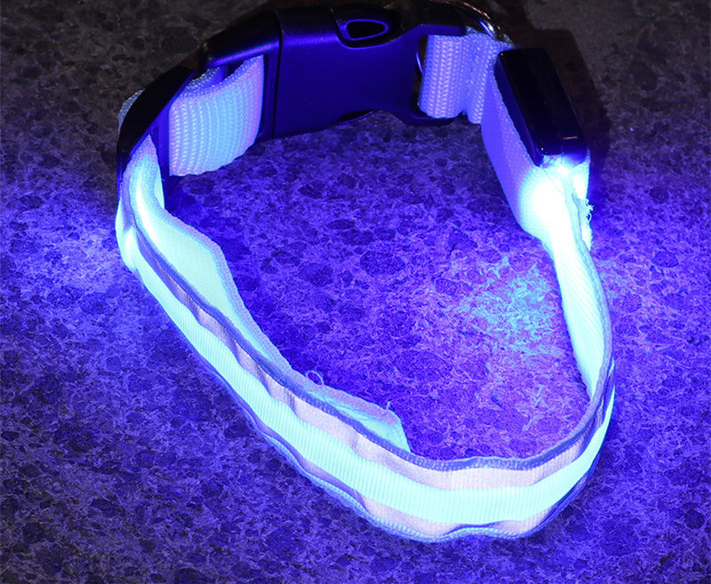 Collier pour animaux à led