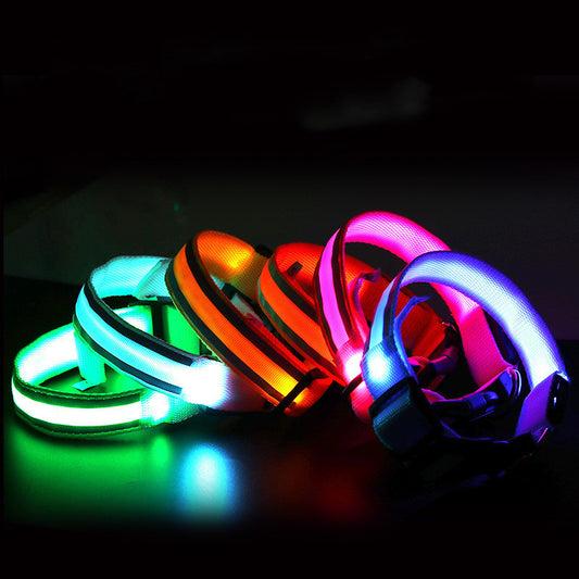 Collier pour animaux à led