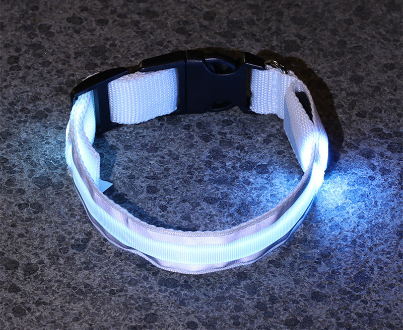 Collier pour animaux à led